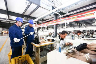 山东高密劳保产品出口增长迅速